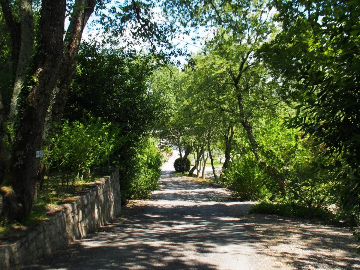 Camping Mas Du Sartre Saint Alban Auriolles Exteriér fotografie